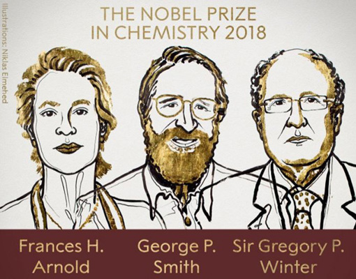 Нобелевская премия по химии присуждена за исследование пептидов и антител
